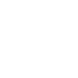 Eagle Lake City Logo white